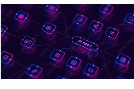Portal PWA